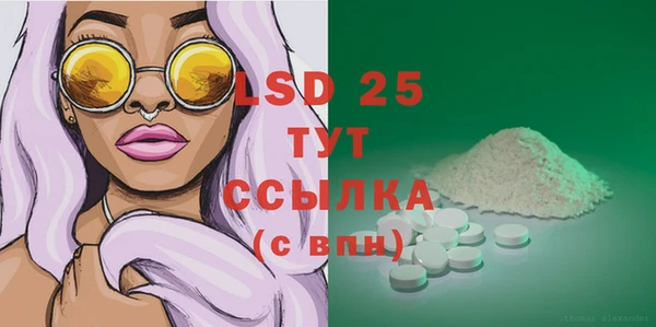 PSILOCYBIN Лагань