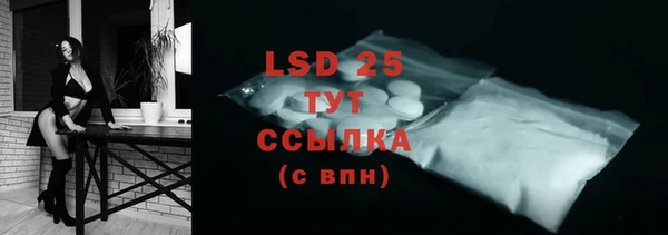 PSILOCYBIN Лагань