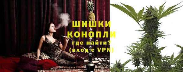 PSILOCYBIN Лагань