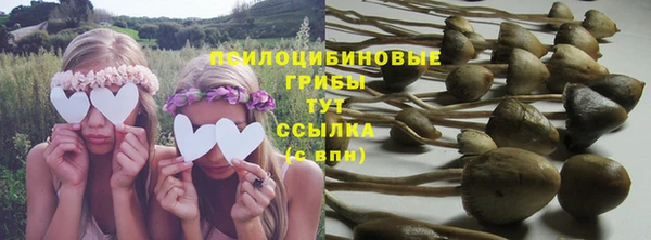 PSILOCYBIN Лагань